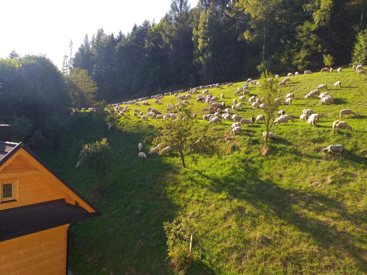 Domek Pod Groniem Mizerna Εξωτερικό φωτογραφία